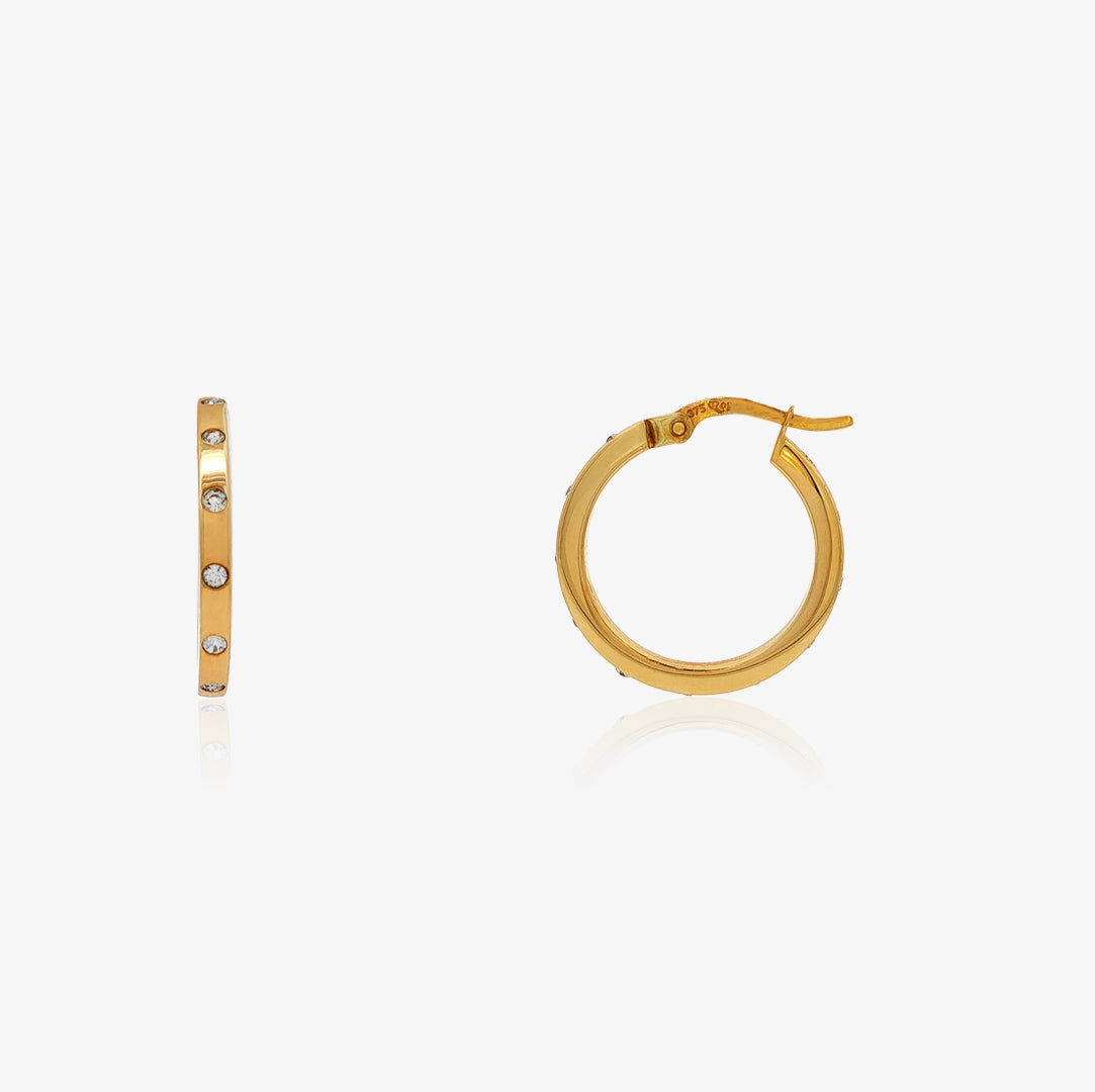Hoops with zircons