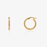 Hoops with zircons