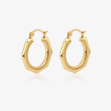 Pendientes Aro Forma