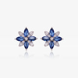 Pendientes polar