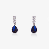 Long Teardrop Earrings