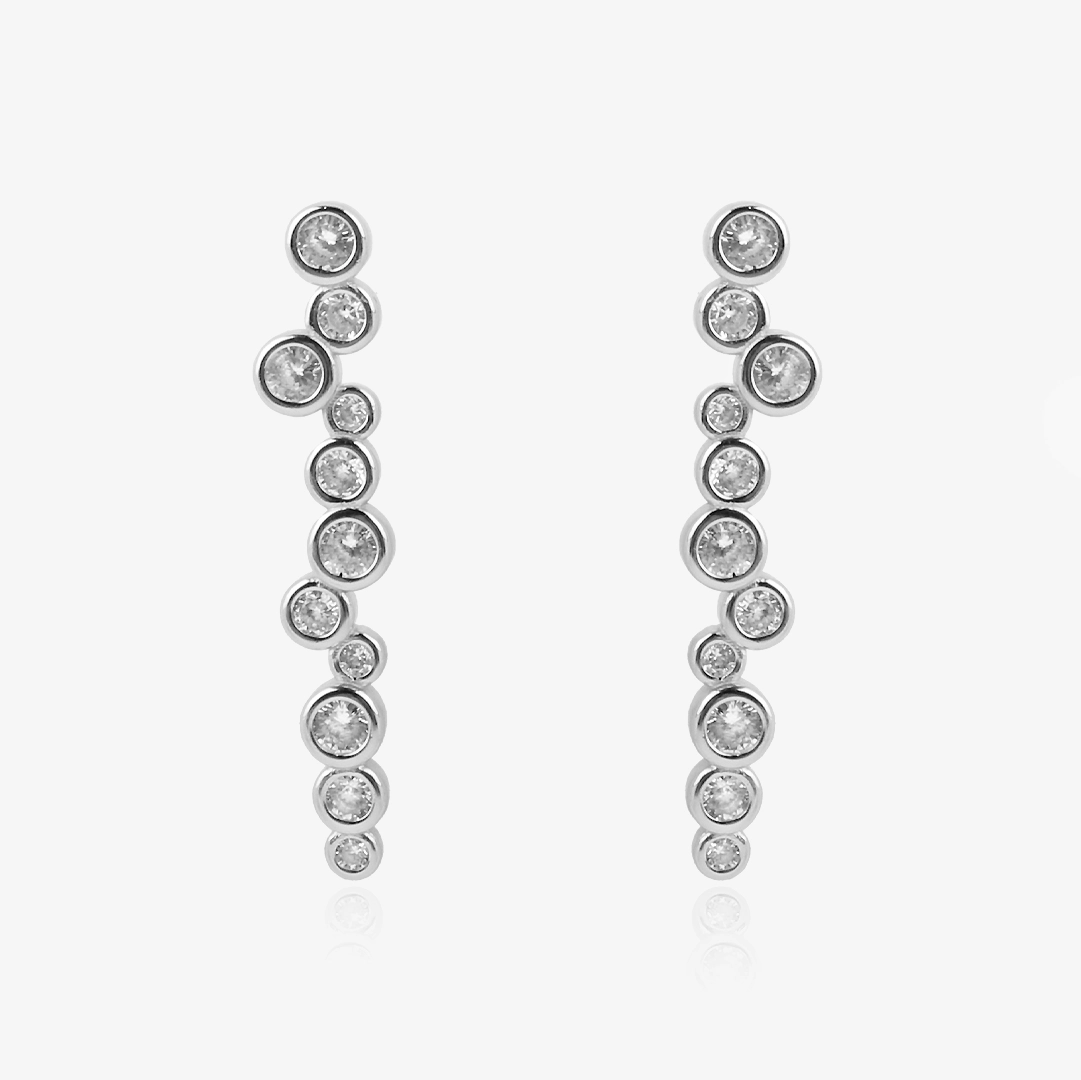 Desigual Earrings