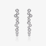 Desigual Earrings