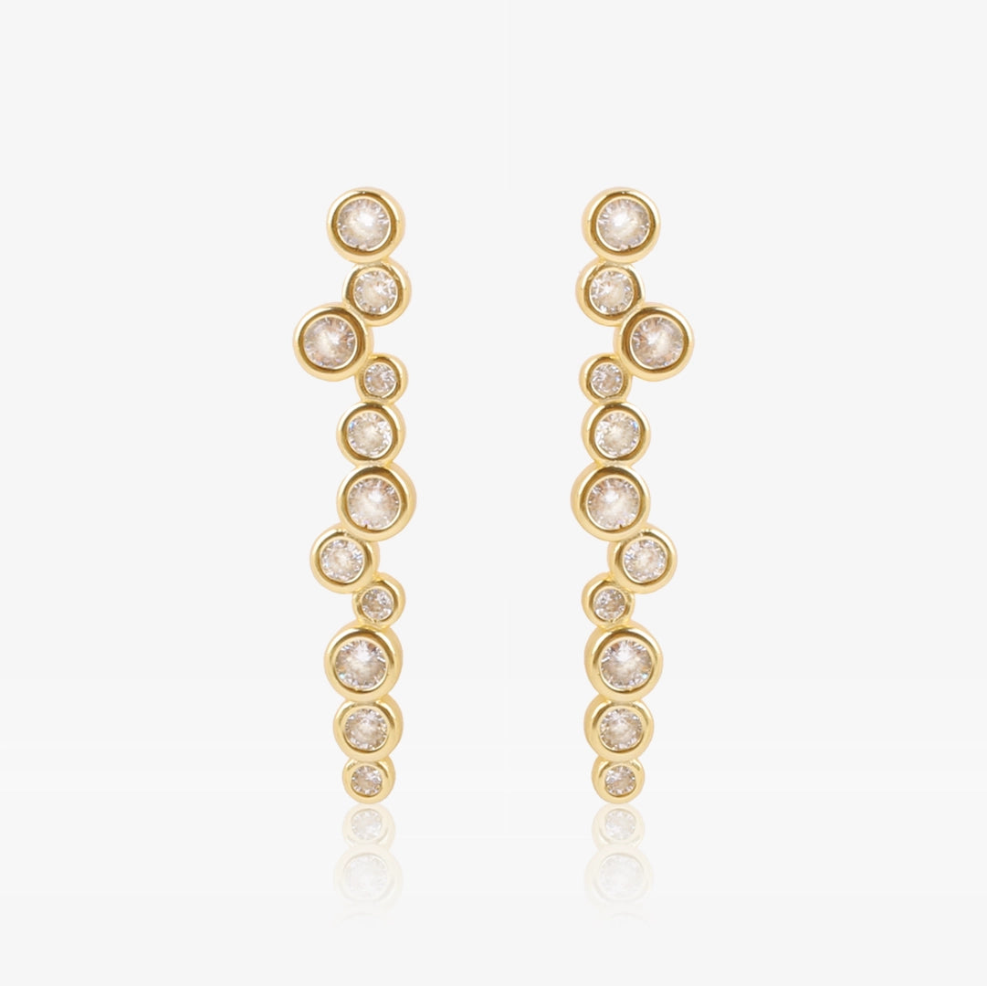 Desigual Earrings