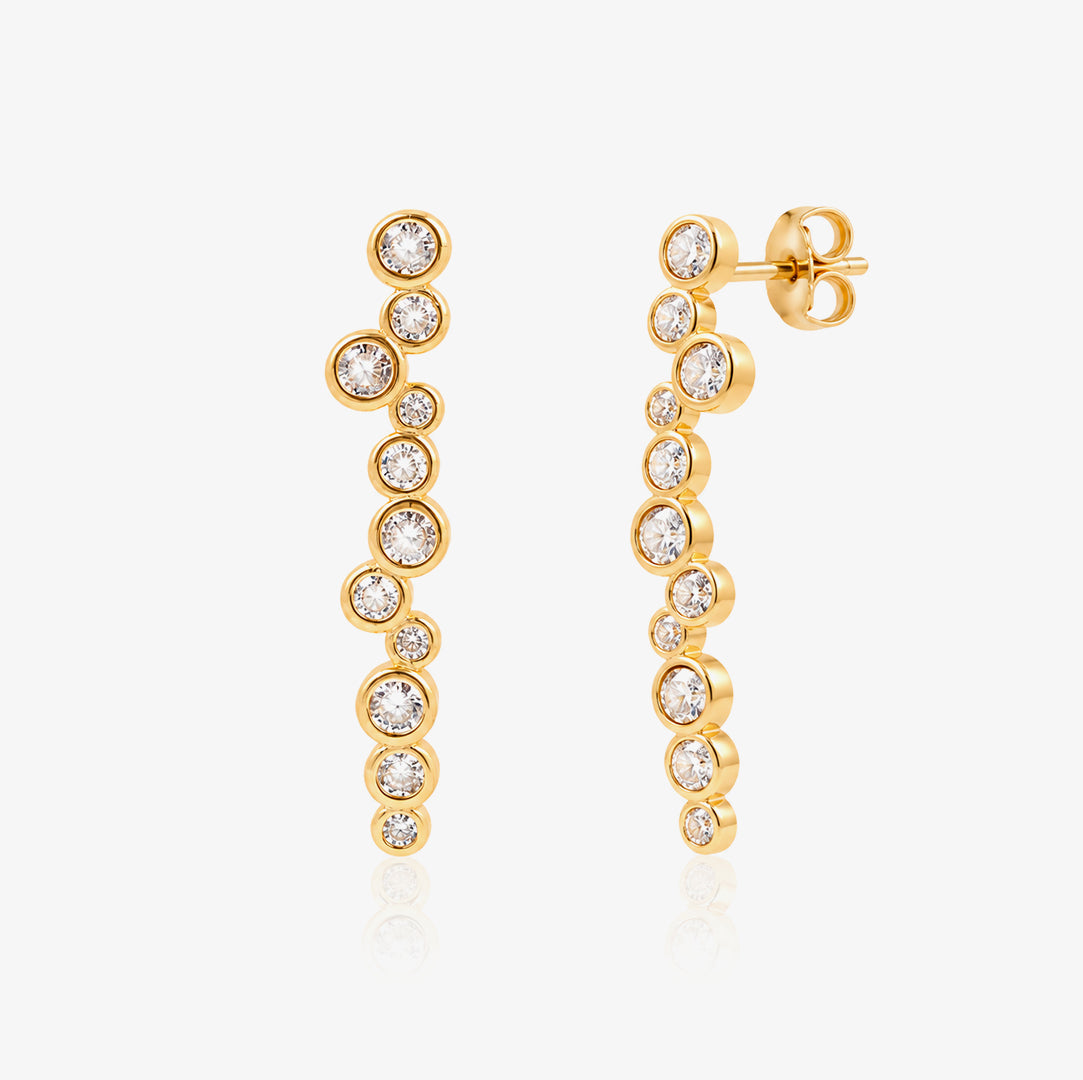 Desigual Earrings