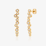Desigual Earrings