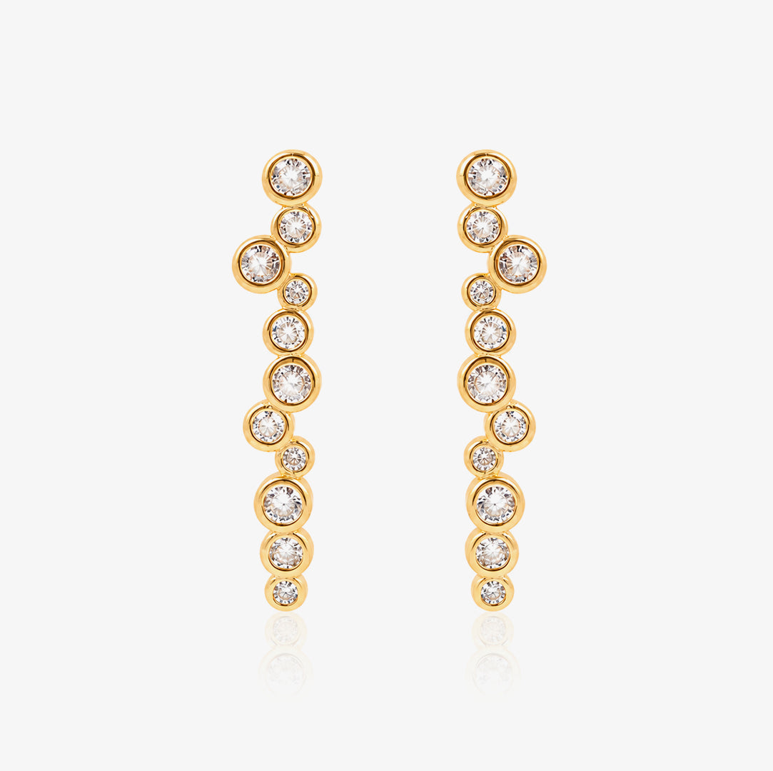 Desigual Earrings