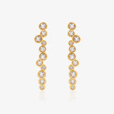 Desigual Earrings