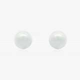 Shell Pearl Earrings