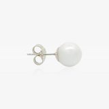 Shell Pearl Earrings