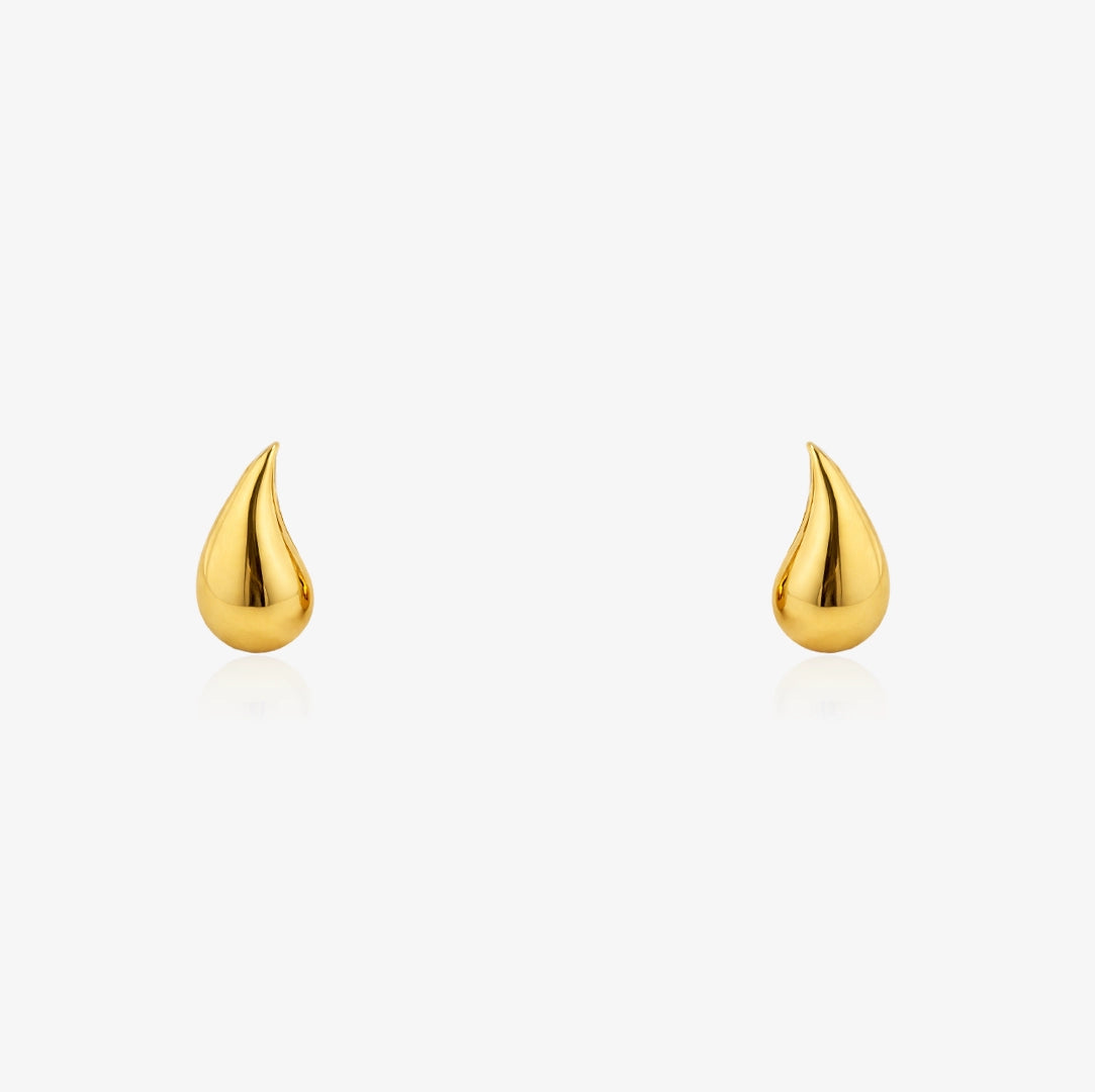 Drop Earrings