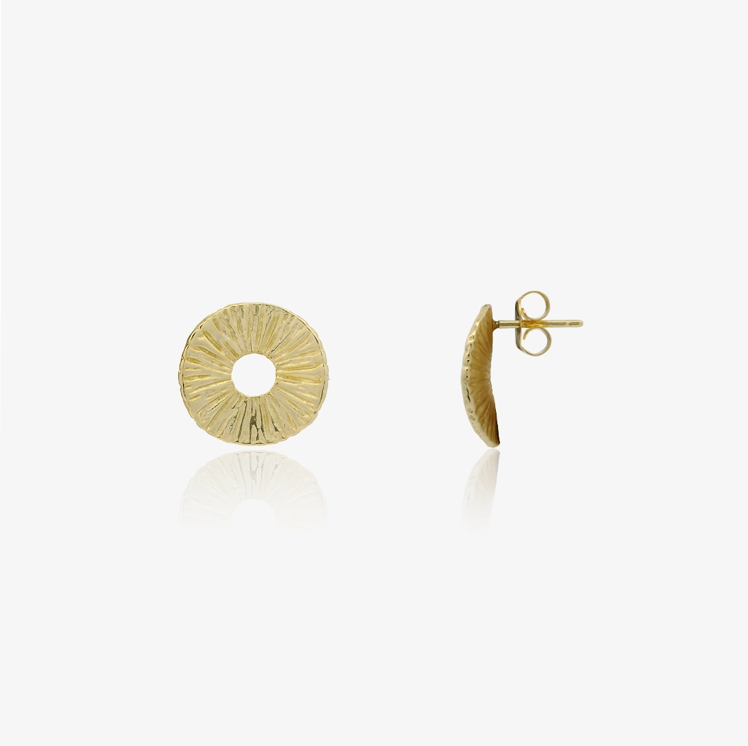 Striped Circle Earrings