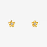 Image Product