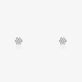 Daisy earrings