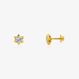 Star Earrings