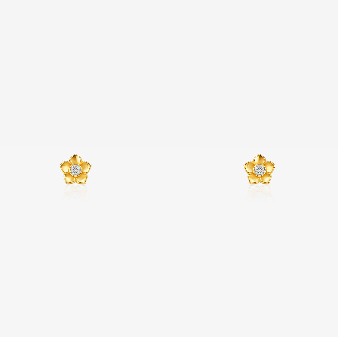 Image Product