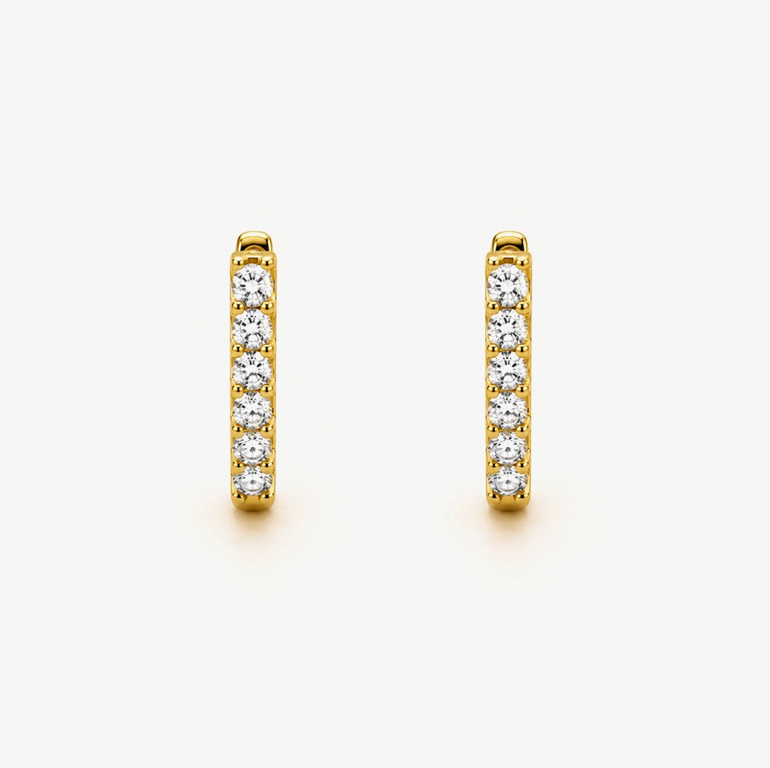 Zirconia earrings