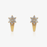 Pendientes Roseta