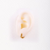 Aros Circonitas